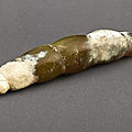 A celadon jade silk worm, song dynasty or earlier