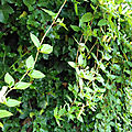 20180617_100341