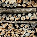 tas de bois