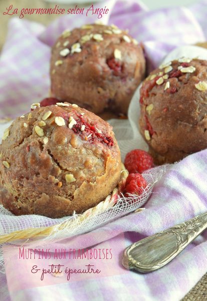 muffin végétal framboise petit épeautre rapadura