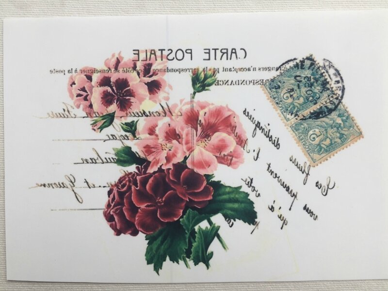 carte postale géranium