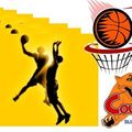 Basket : le sluc battu