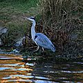 IMG_3774