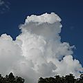 DSCN4544